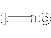 Винт DIN 7500 сталь закал. C M 3 х 10 оцинк